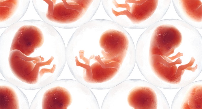 biotech firm create human embryos stem cells 01