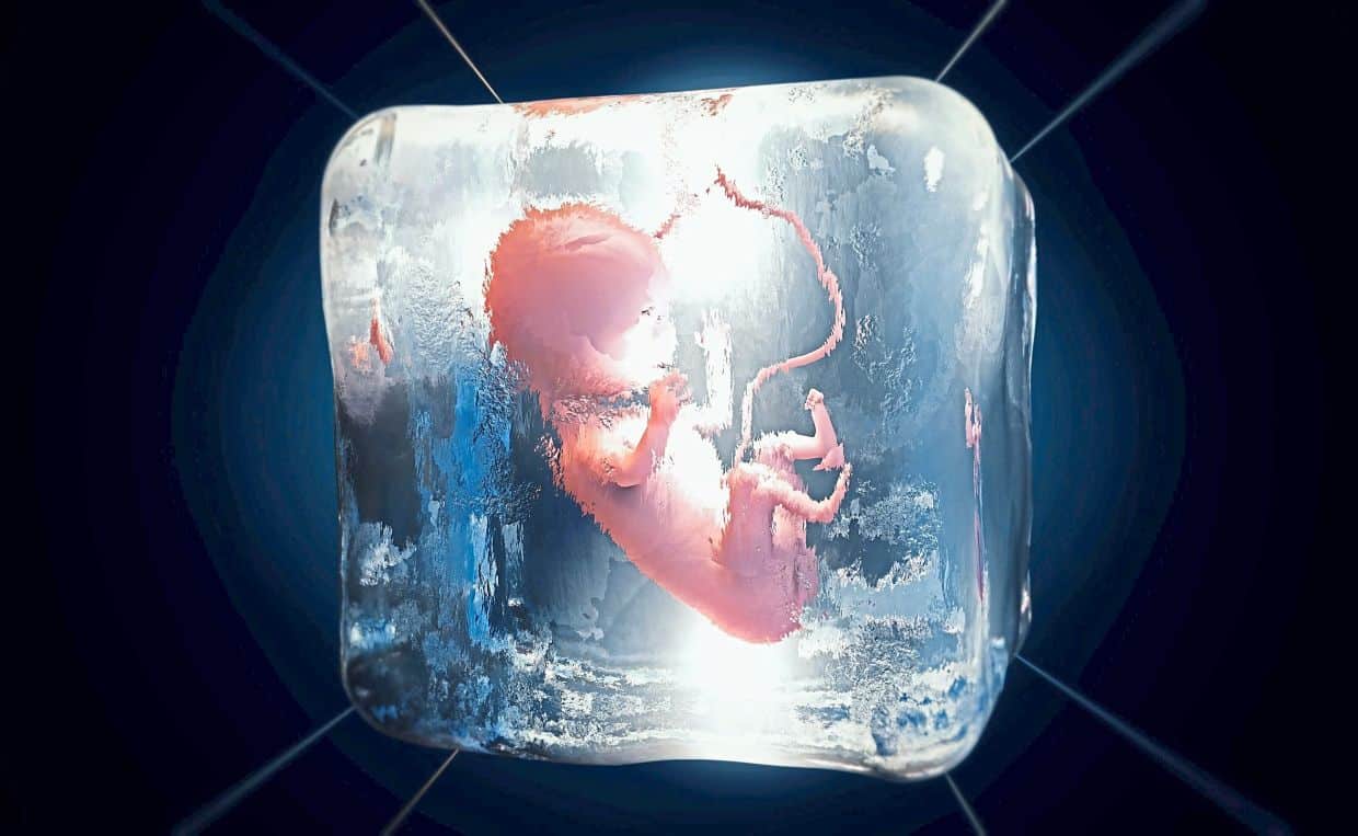 frozen embryos 01