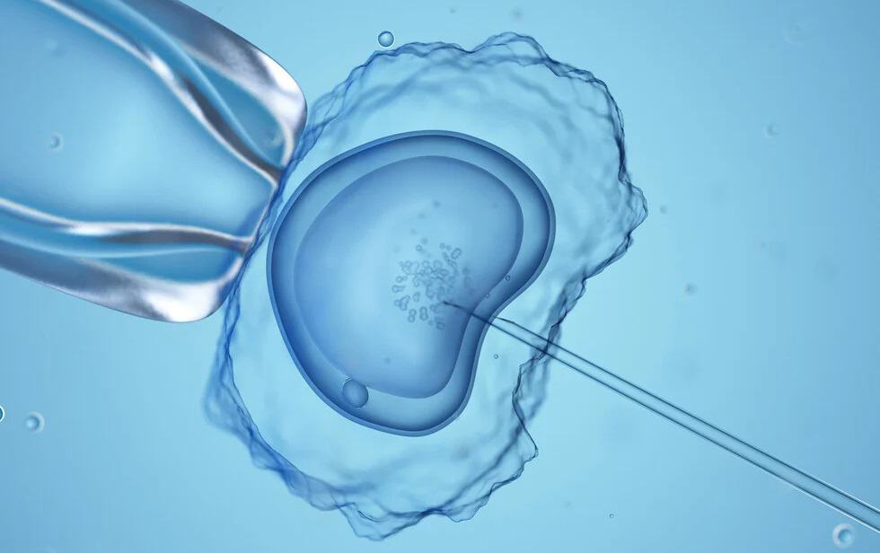 katepsygmena embrya theoroyntai paidia 01