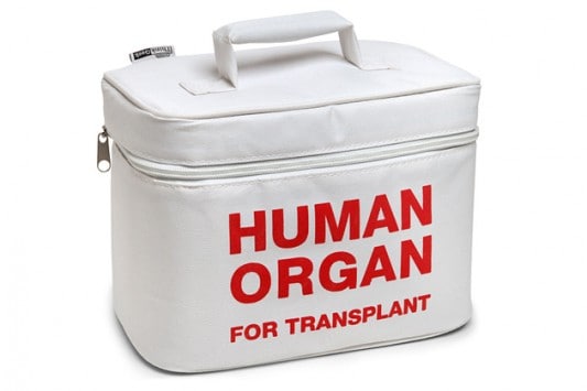 ORGANs 533 355