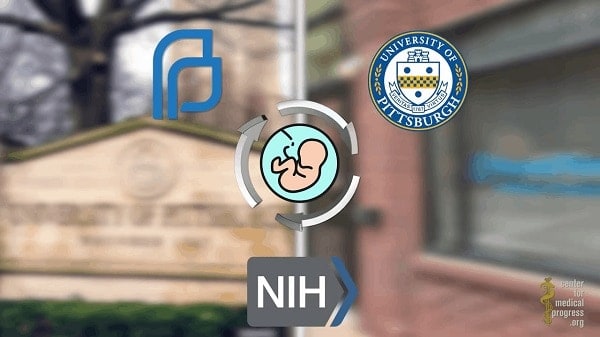 government sponsored fetal experimentation at the university of pittsburgh and planned parenthood 01