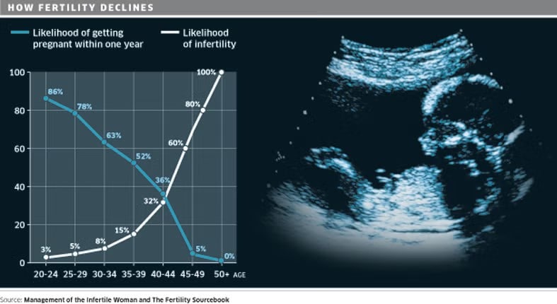 female age related fertility 01