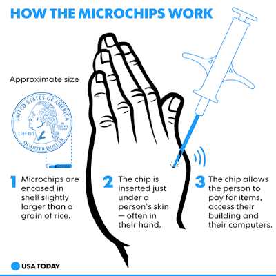 emfyteysh microchip 01