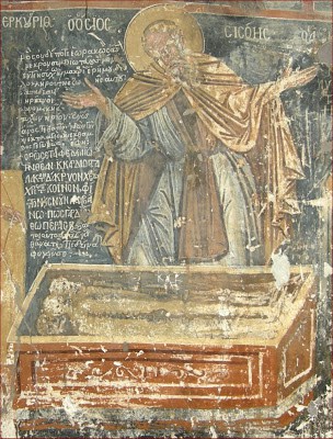 avas siswhs 01