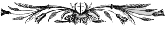 stavros banner 01 bw